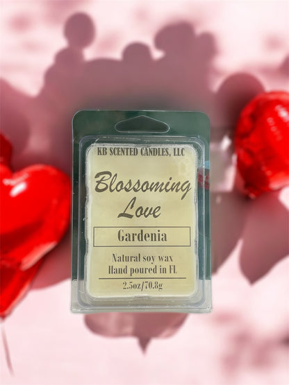 2.5oz Wax melts